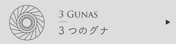 3つのグナ