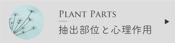 抽出部位と心理作用