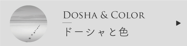 ドーシャと色