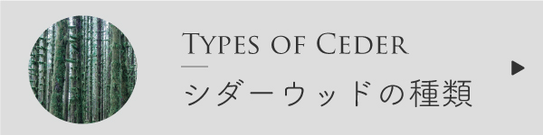 シダーウッドの種類比較