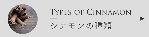 シナモンの種類比較