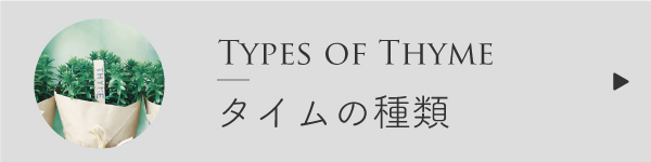 タイムの種類比較