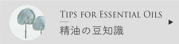 アロマセラピーの豆知識