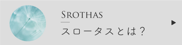 スロータスとは