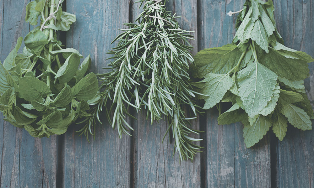 フレッシュハーブ