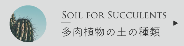 多肉植物の土の種類