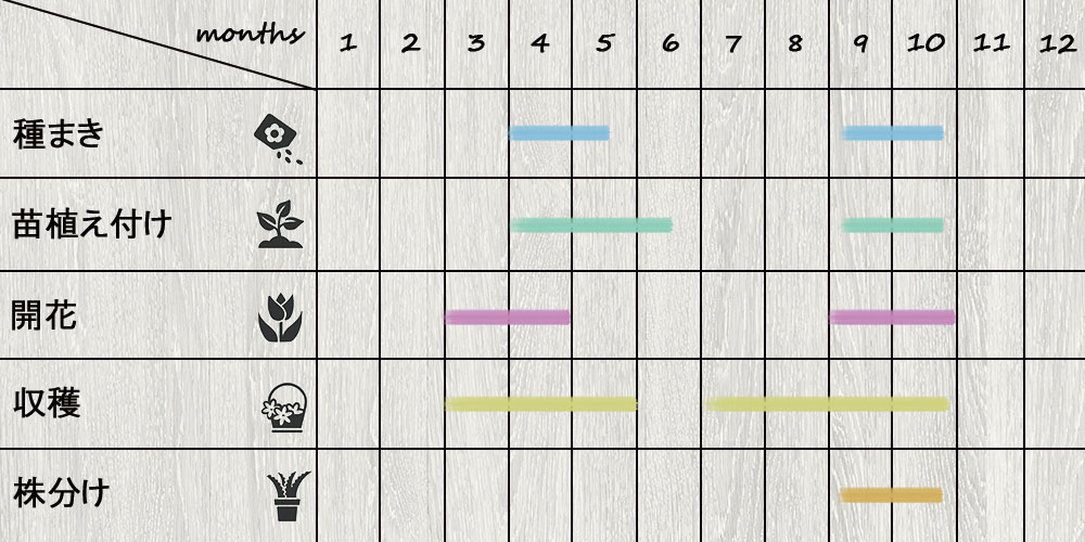 schedule_wildstrawberry