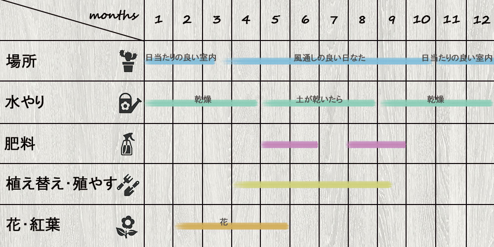 schedule_Mammillaria