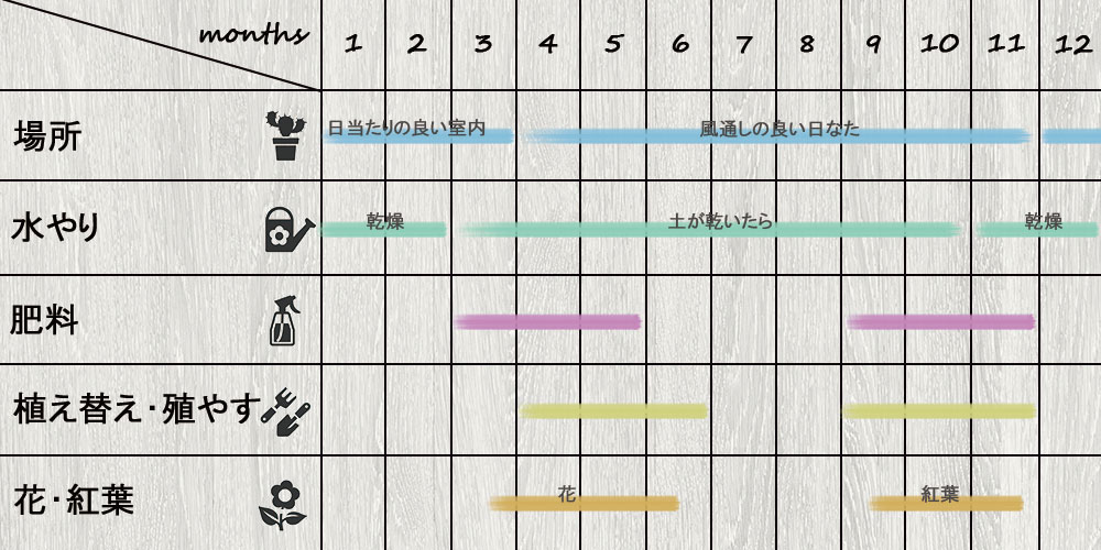 schedule_Pachyphytum