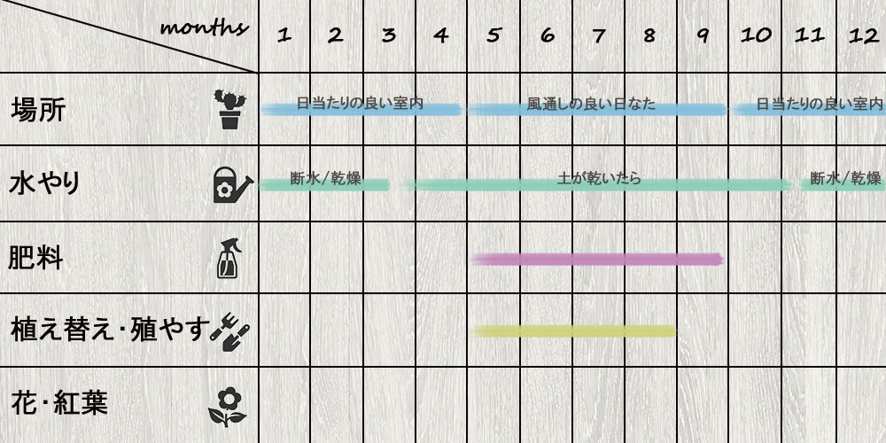 schedule_Sansevieria