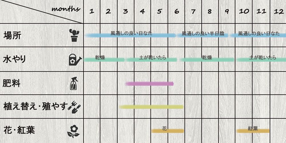 schedule_Sempervivum