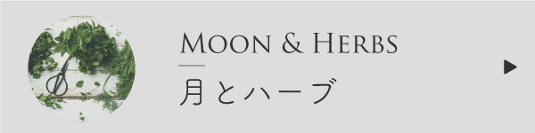 月とハーブ