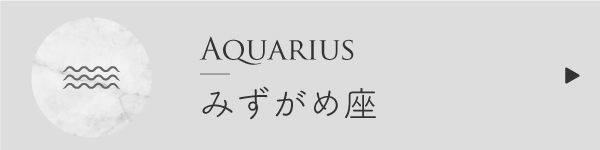 みずがめ座