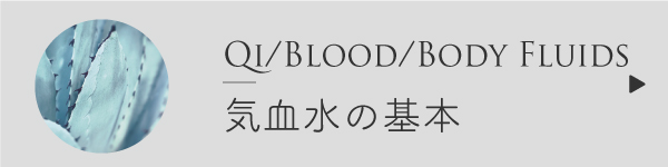 気血水の基本