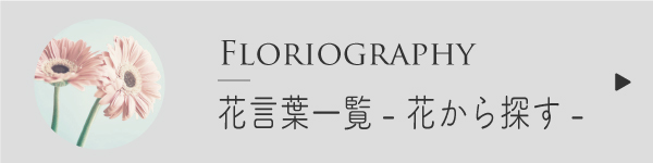 花言葉一覧・花から探す