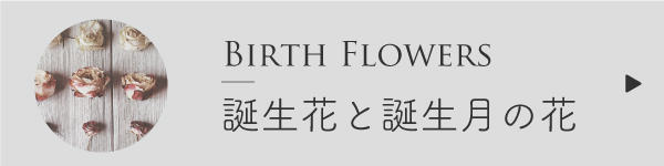 誕生花と誕生月の花