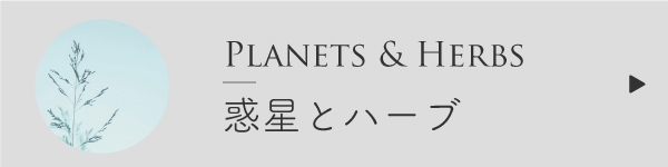 惑星とハーブ