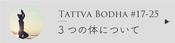 3つの体について