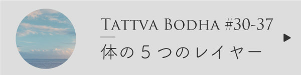 体の5つのレイヤーについて