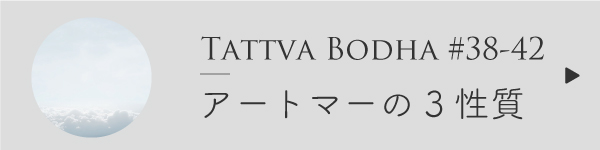 アートマーの3つの性質