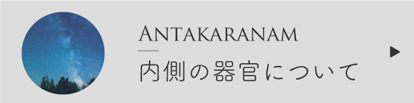 アンタカラナムについて