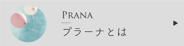 プラーナとは