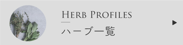 ハーブの効果効能一覧