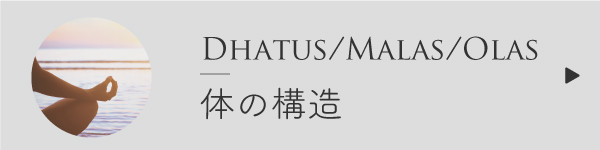 アーユルヴェーダの体の構造