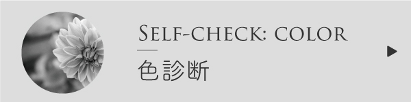 色診断