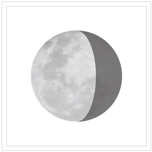 ディセミネーティングムーン