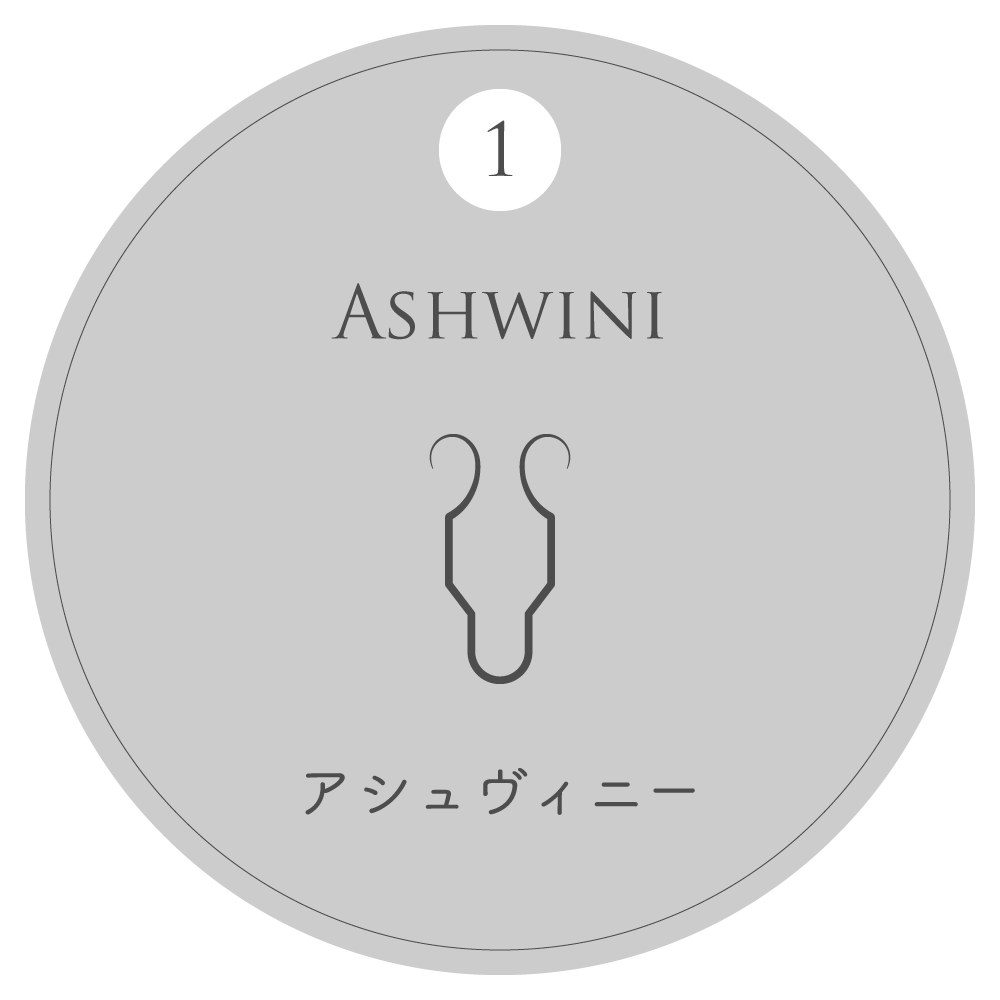 アシュヴィニー