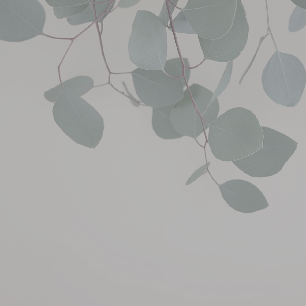 Aromatherapy, essential oils, and natural healing rituals