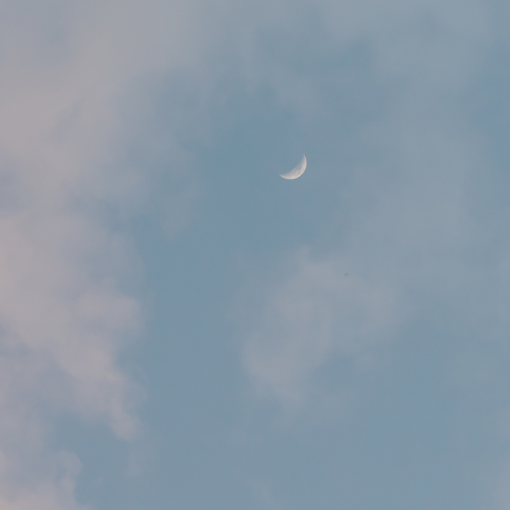 Moon phases, lunar cycles, and how to live in rhythm with the Moon