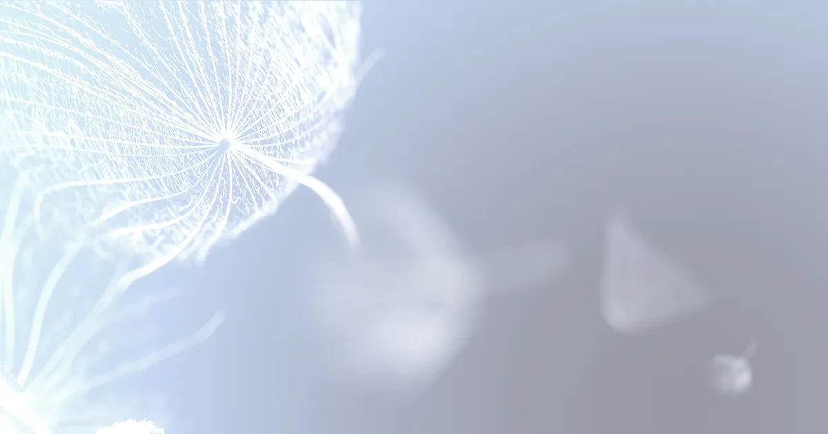ネームナンバーとは｜ヴェーダ数秘が映す名前の響き