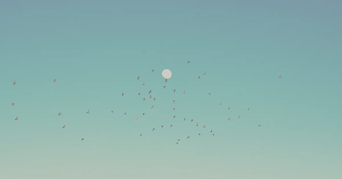 月の手前に鳥が飛んでいる空。月の満ち欠けと過ごし方。